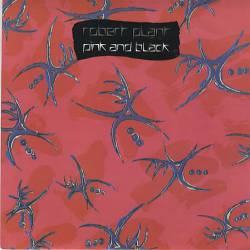 Robert Plant : Pink and Black